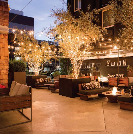 ung-dung-chieu-sang-led-day