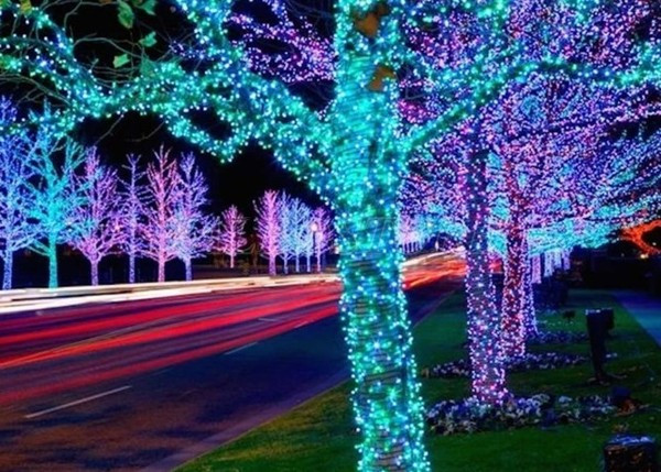 ung-dung-led-hat-duc-trang-tri-quan-cay-ngoai-troi