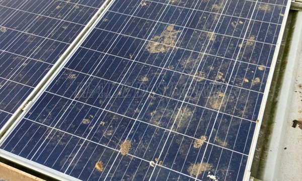 Độ sạch tấm pin ảnh hưởng đến tuổi thọ bộ đèn