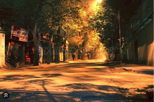Ánh sáng vàng của đèn đường 