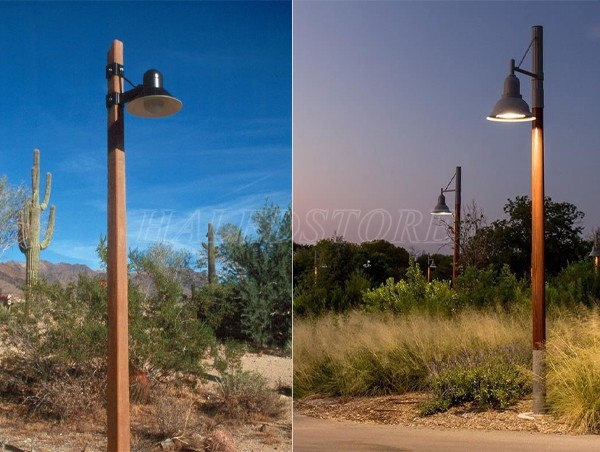 chieu-sang-cac-con-ngo-nho