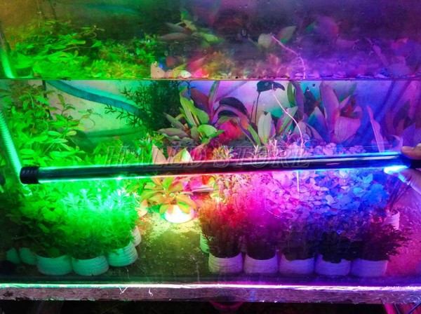 Kiểu dáng đèn LED 3 màu 01