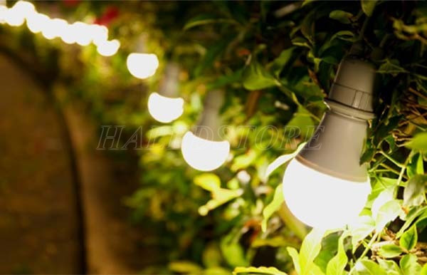 den-led-bulb-3w-trang-tri-ngoai-troi