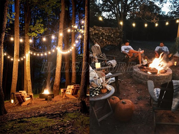 trang-tri-cam-trai-lung-linh