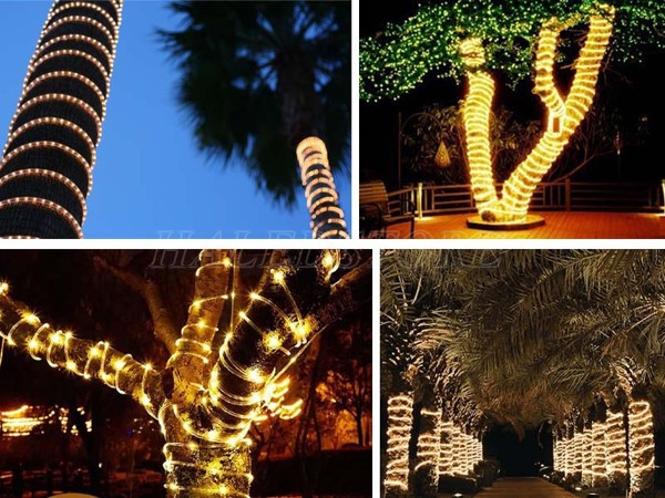 Ứng dụng trang trí quấn cây ngoài trời