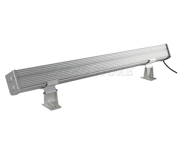 chan-de-bat-vit-bo-tri-doc-than-den