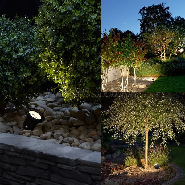 chieu-bui-hoa-san-vuon-cong-vien