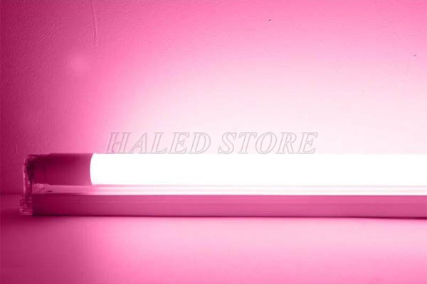 Đèn tuýp LED màu hồng T5 1m2