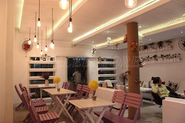 tran-tri-hat-tran-quan-cafe