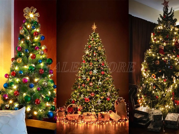 trang-tri-cay-thong-neol-doc-dao