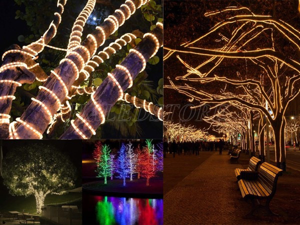 ung-dung-den-led-day-trang-tri-cay