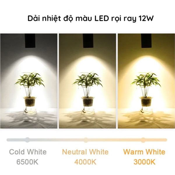 den-led-roi-ray-12w-co-nhiet-mau-da-dang