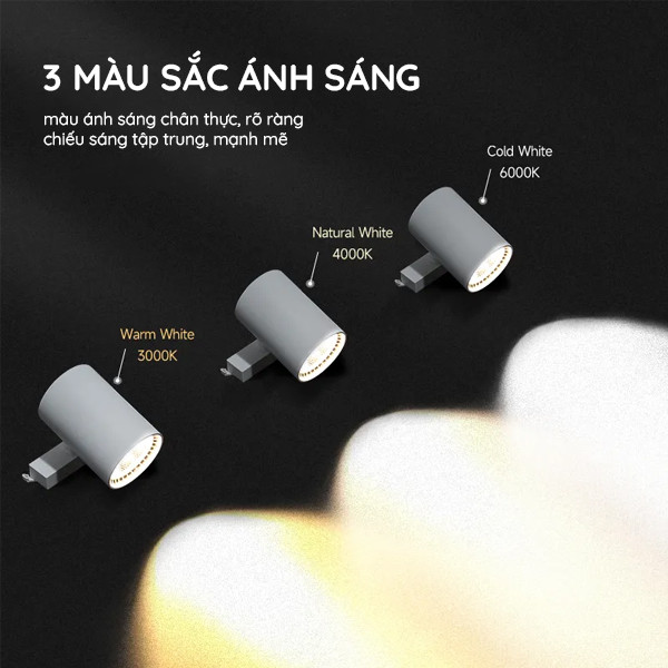 mau-anh-sang-chan-thuc