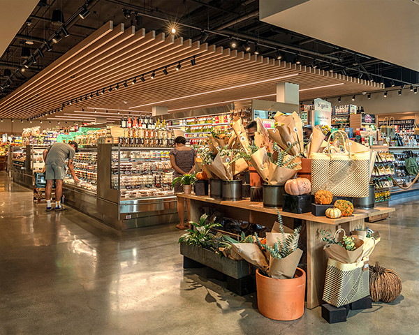 nguon-anh-sang-hien-dai-cua-den-led-roi-ray-15w