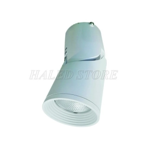 den-led-roi-ray-hldh-dib0105-10