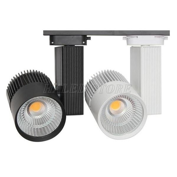 den-led-roi-ray-20w