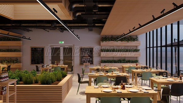 thanh-ray-cung-cap-nguon-sang-bo-sung-khong-gian