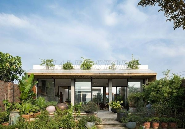 ban-ve-san-vuon-nha-cap-4-300-met-vuong