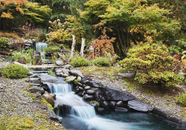 cach-trang-tri-tieu-canh-thac-nuoc-trong-san-vuon-nha-cap-4