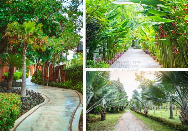 decor-cay-xanh-loi-di