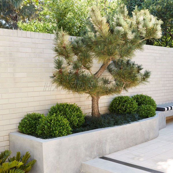 gach-op-tuong-san-vuon