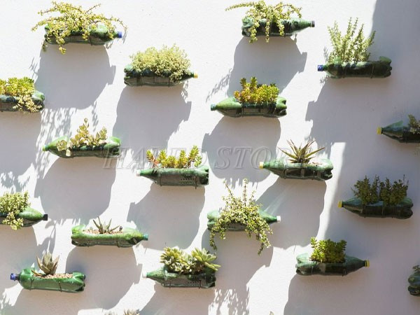 gan-cay-xanh-tren-tuong-tu-chai-nhua