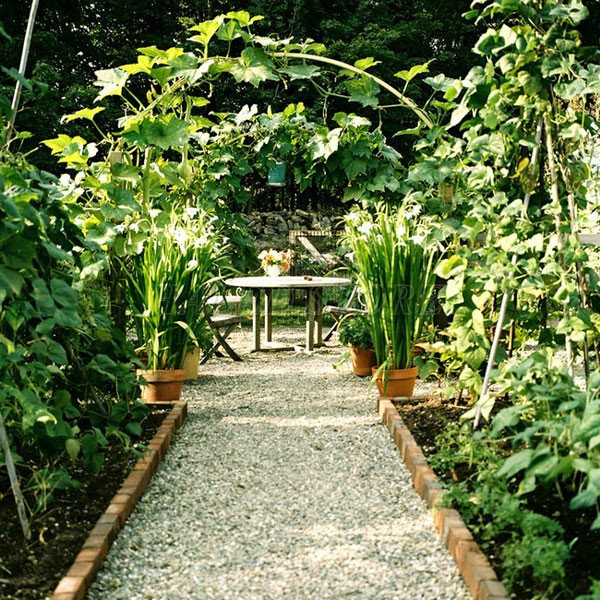 loi-di-san-vuon-vuon-thang-dai-soi