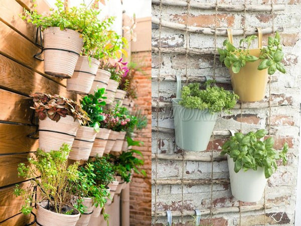 su-dung-chau-cay-canh-treo-tuong-rao-san-vuon