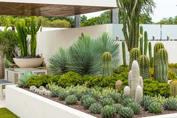 tao-khu-tieu-canh-san-vuon