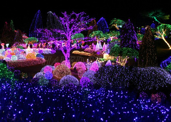 thiet-ke-chieu-sang-cong-vien