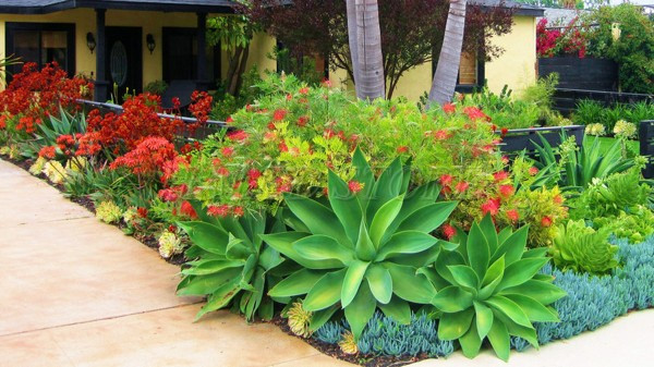 trang-tri-cay-xanh-tao-tieu-canh-dep