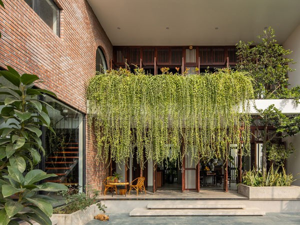 trang-tri-day-leo-tuong-san-vuon