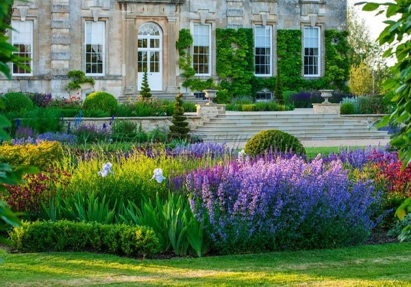 trong-hoa-co-nhieu-mau-sac-trong-san-vuon-nha-cap-4