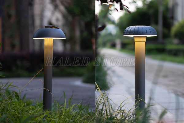 tru-den-nam-san-vuon-cao