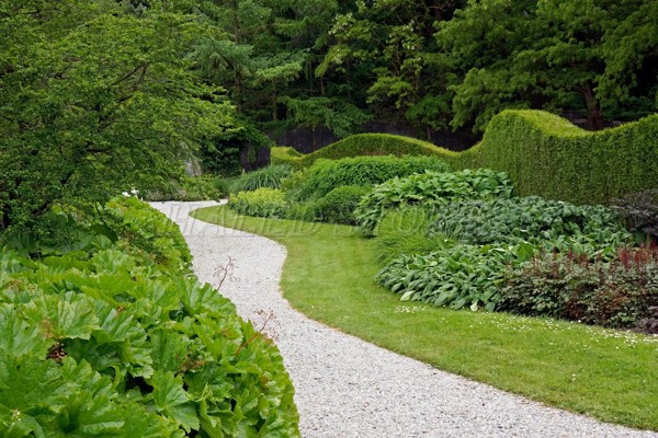 bo-tri-cay-canh-hai-ben-loi-di