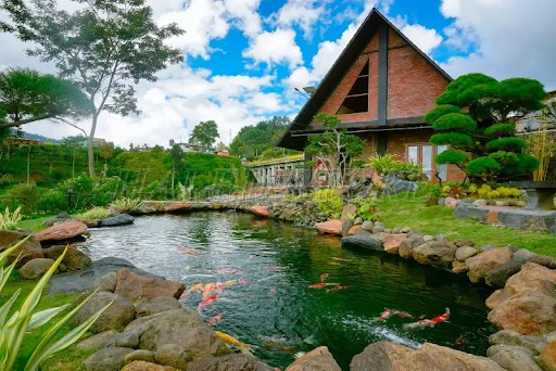 bo-tri-ho-ca-koi-khu-vuc-san-vuon-truoc-nha