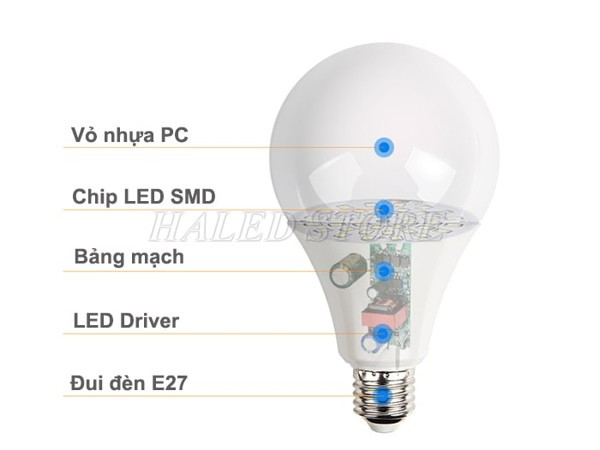 Hình ảnh cấu tạo bóng đèn LED bulb đui xoáy