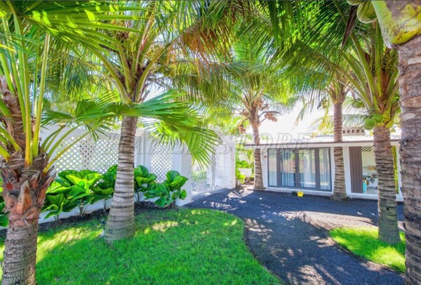 mau-cay-dua-canh-trang-tri-san-vuon