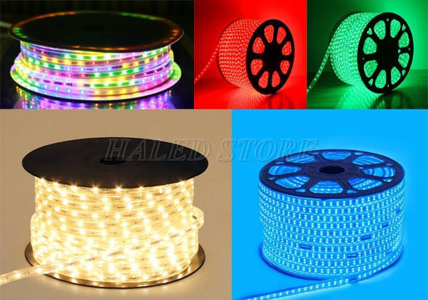 mau-den-led-day-hat-sang-doi-mau