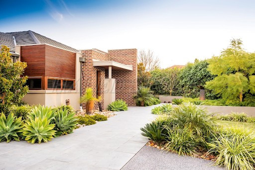 nhung-khom-cay-xanh-khu-truoc-nha