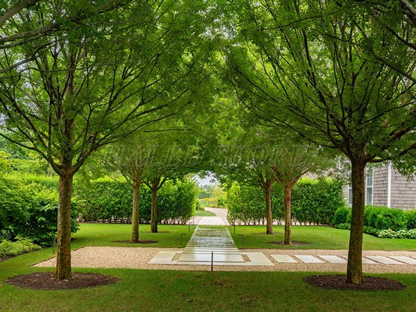 trang-tri-cay-canh-don-le-trong-san-vuon