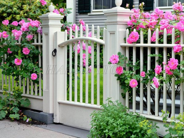 trang-tri-hang-trao-cay-hoa-hong