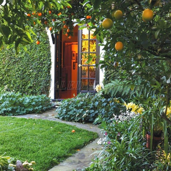 trang-tri-san-vuon-nho-truoc-nha