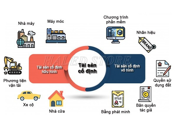 Xác định tài sản cố định