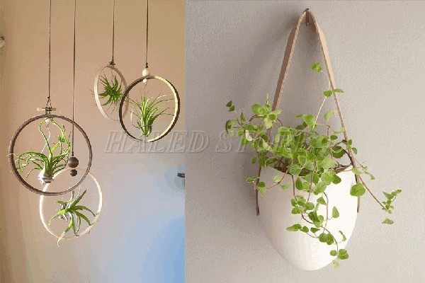 chau-hoa-tet-treo-dep-y-nghia