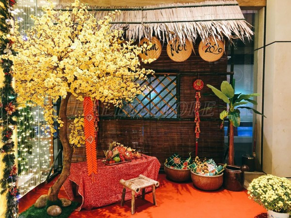 decor-canh-mai-san-vuon-cho-ngay-tet