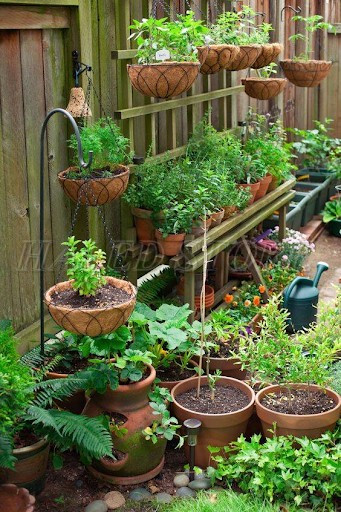 decor-chau-cay-goc-san-vuon