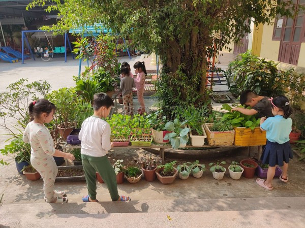 khong-gian-xanh-trong-truong-mam-non