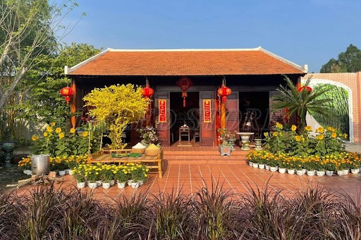 mau-cay-tieu-canh-hoa-mai