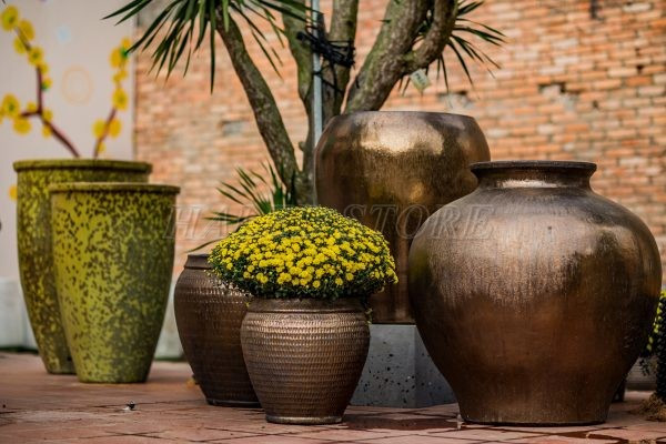 mau-chau-hoa-ma-vang-co-dien-don-tet